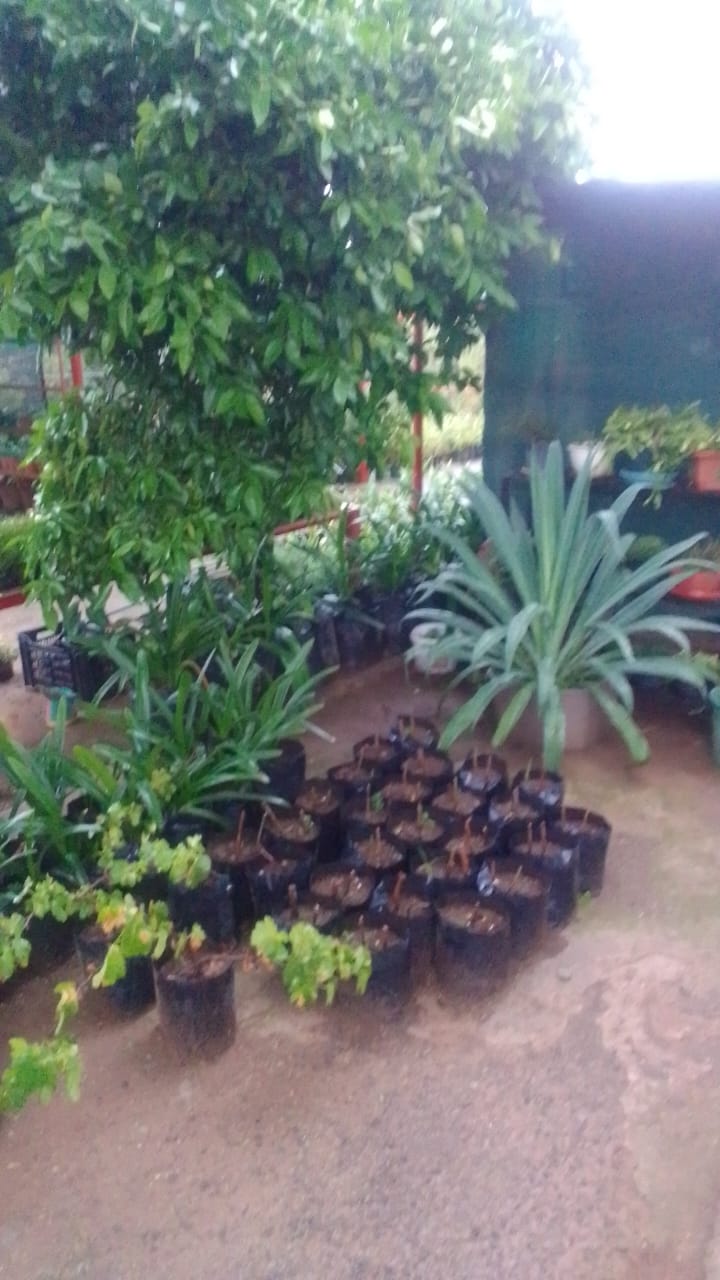 3 Bedroom Property for Sale in Oviston Eastern Cape